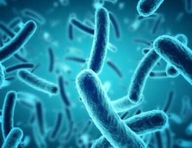 Studies show CBD&rsquo;s ability to act as an antiseptic and antibacterial, potentially fighting gingivitis